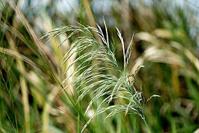 Roguelite卡牌游戏《虚空穹牢》 1.0 正式版在Steam发售